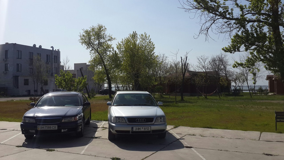 Розмитнення 4