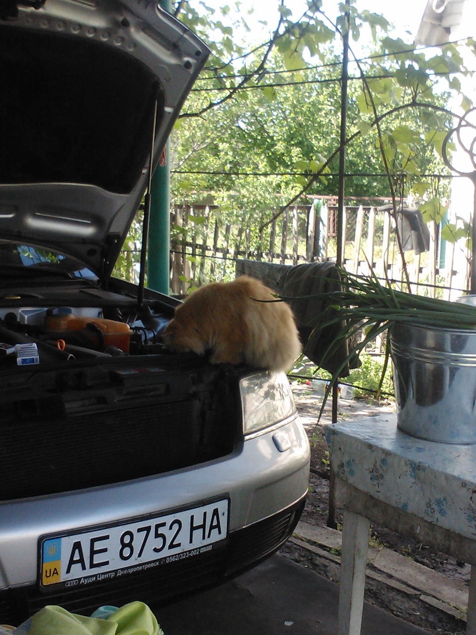 Кошарус автомеханік 3