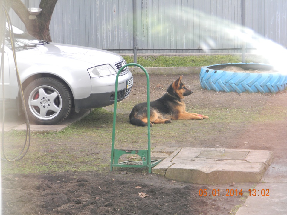 Приємний запах у салоні авто 4
