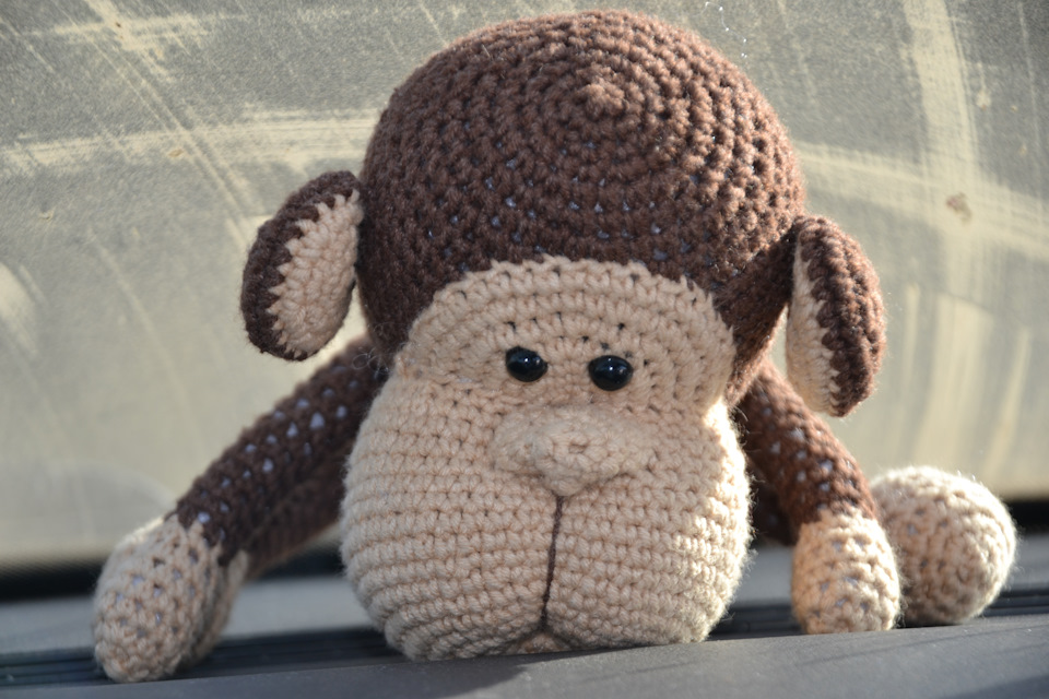 У нас з'явився маленький друг=)) 1