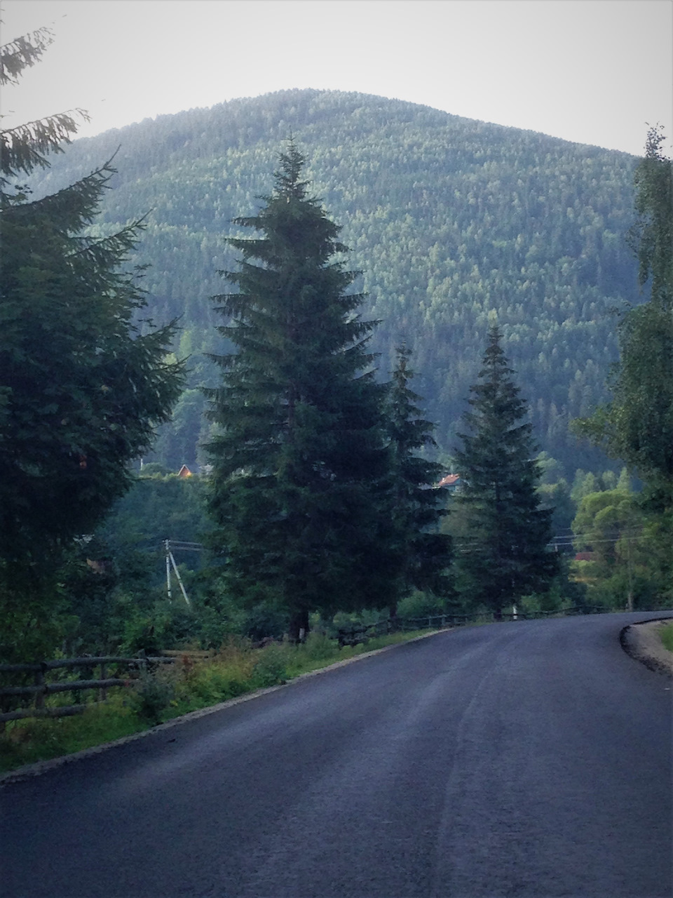 Карпати, Коломия, гора Говерла ч.2 1