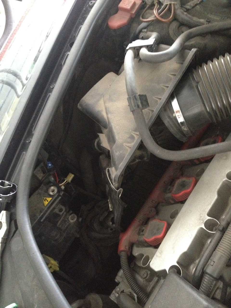 Заміна ламп ДХО (DRL) на помаранчеві PY21W, габарити Osram Cool Blue W5W 4200K Audi A6 4F C6 4