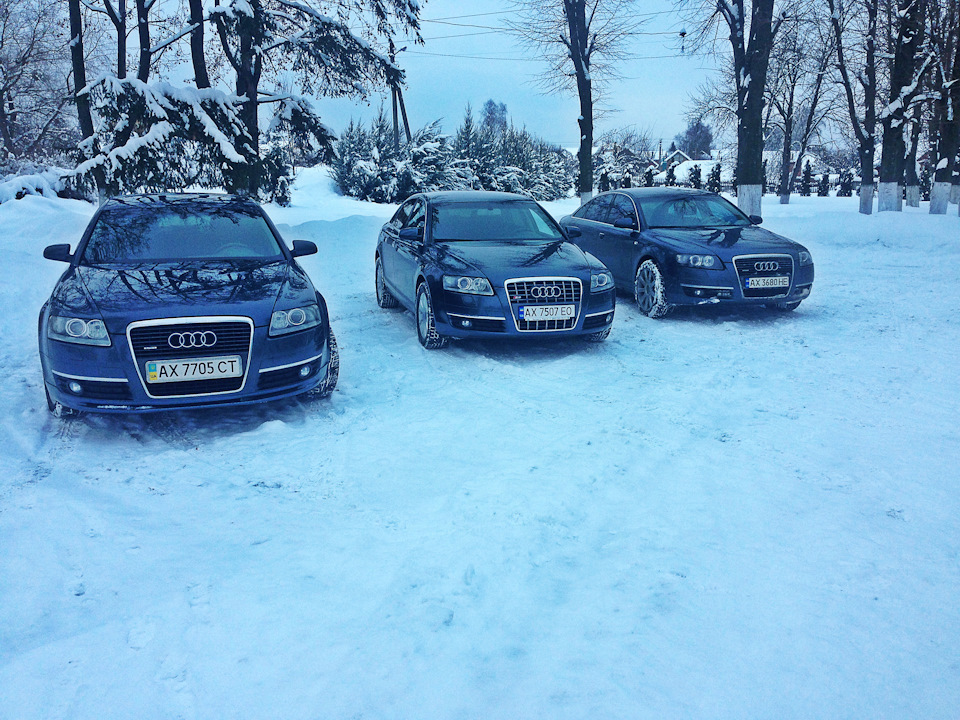 Зустріч місцевих любителів Audi A6 C6 4