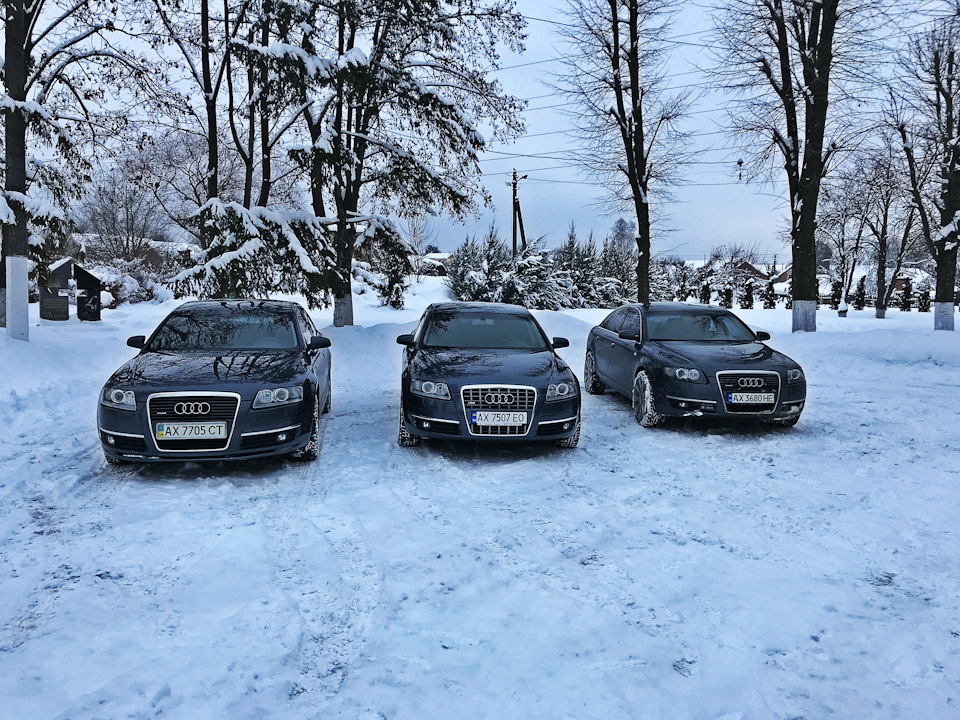 Зустріч місцевих любителів Audi A6 C6 5
