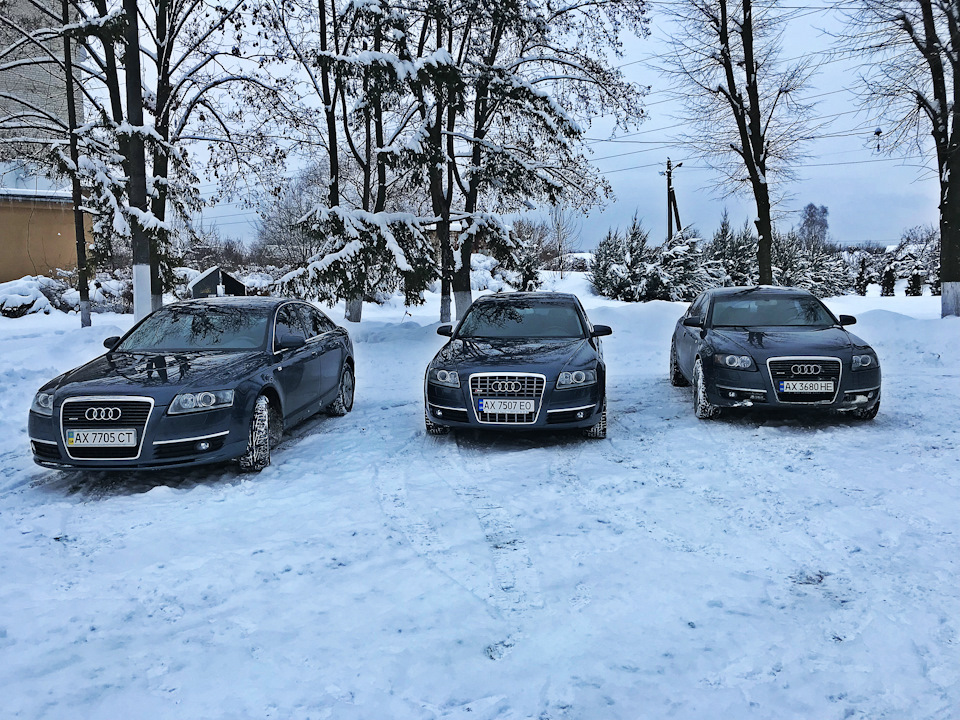 Зустріч місцевих любителів Audi A6 C6 3