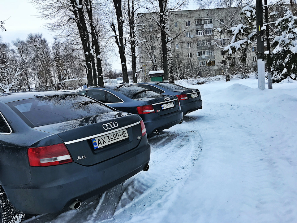 Зустріч місцевих любителів Audi A6 C6 1
