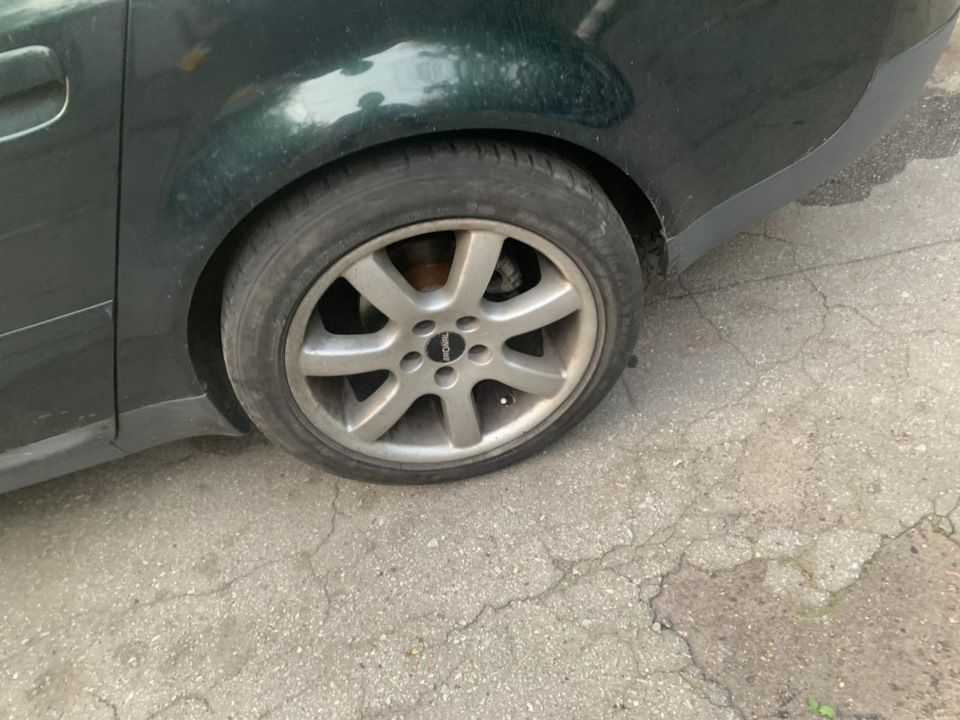 приміряв тапки свої 1