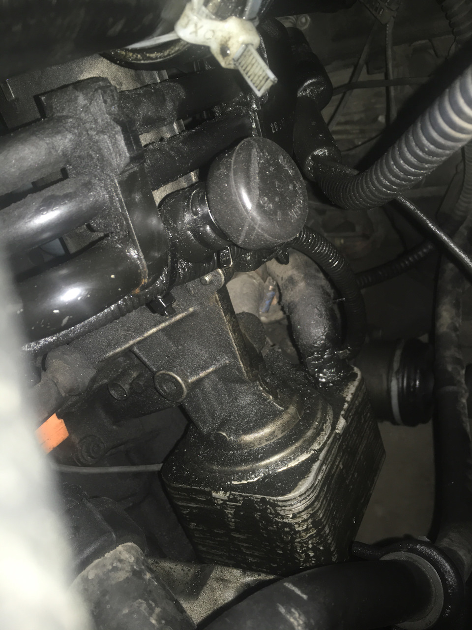 Потрібна допомогти текти мастила 1.9 TDI 130 к.с 96 КВТ 1