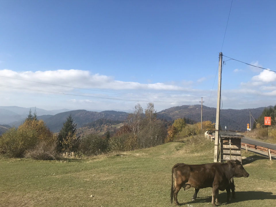 Поїздка на захід. 3