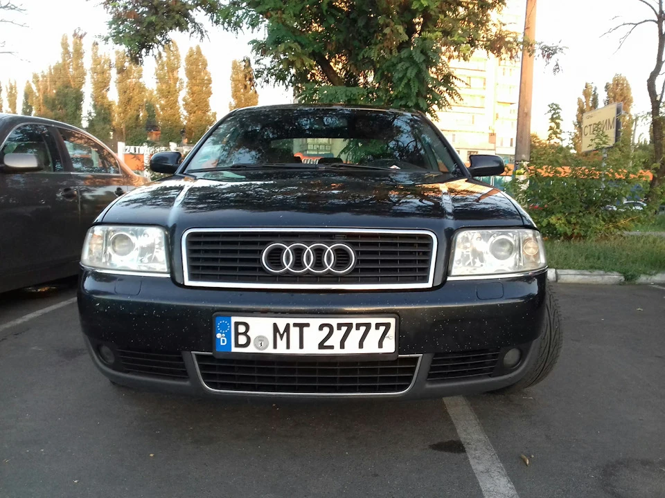 Ez Lip або гумова губа .