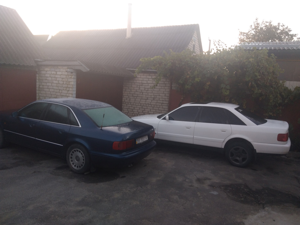 17 тапки 1