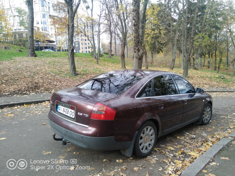 Осіння черепашка 4