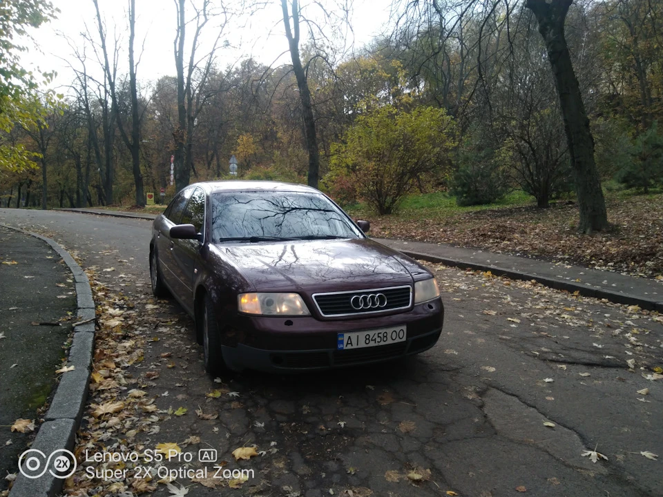 Осіння черепашка