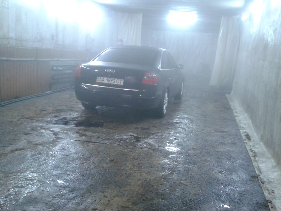 Черепаха на мийці) 3