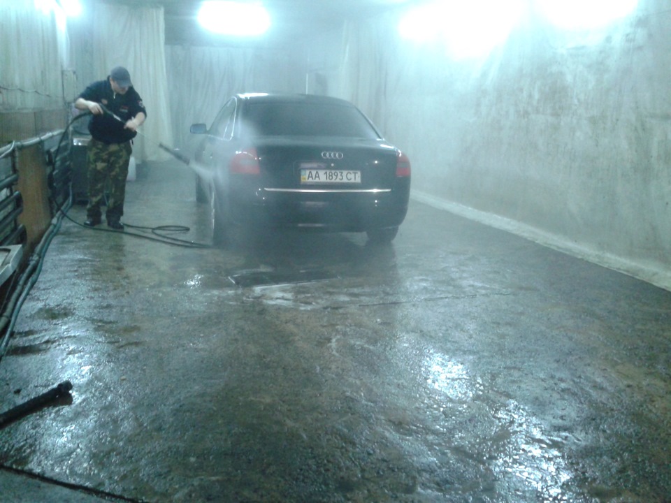 Черепаха на мийці) 2