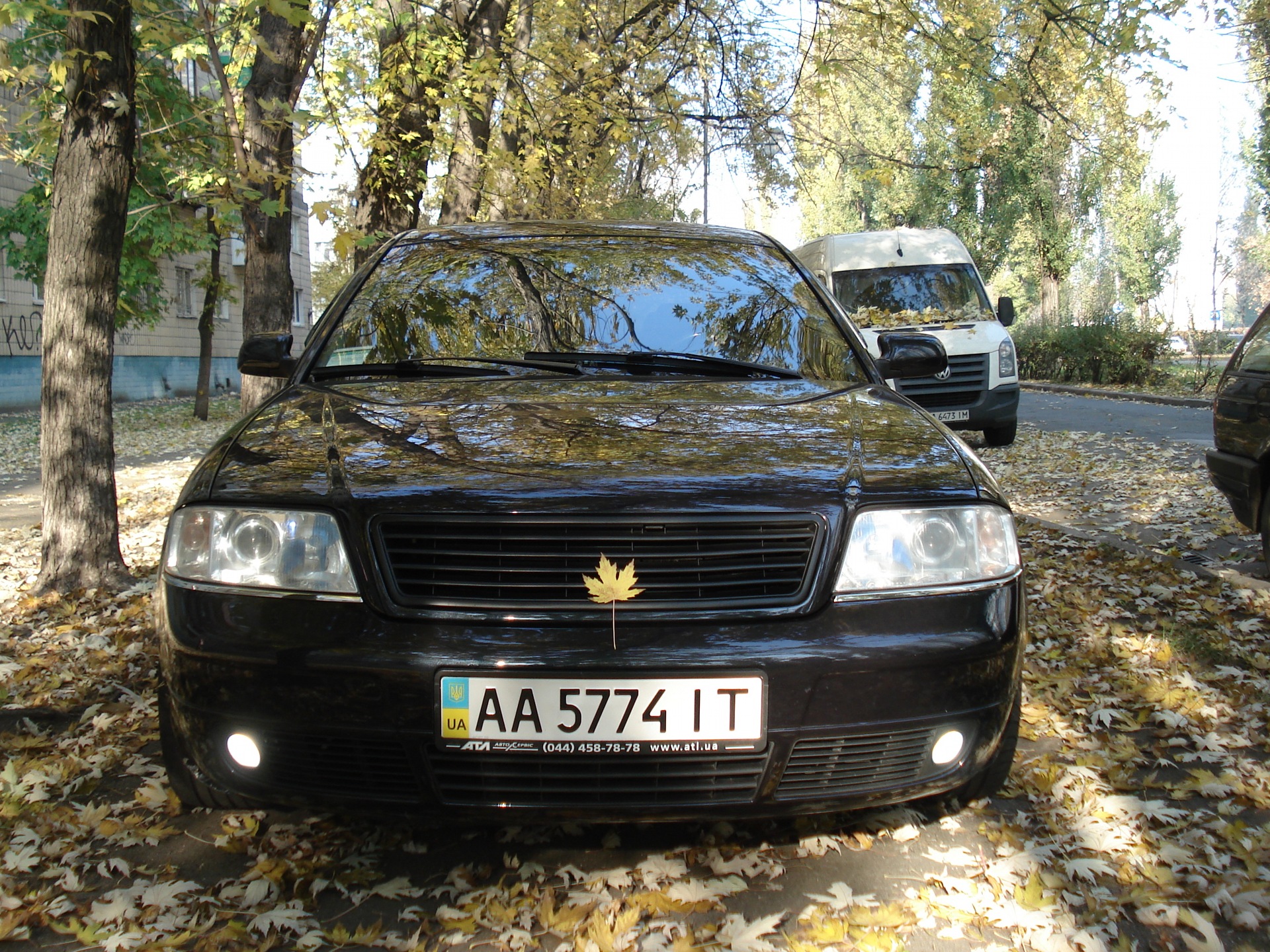 Осень 1