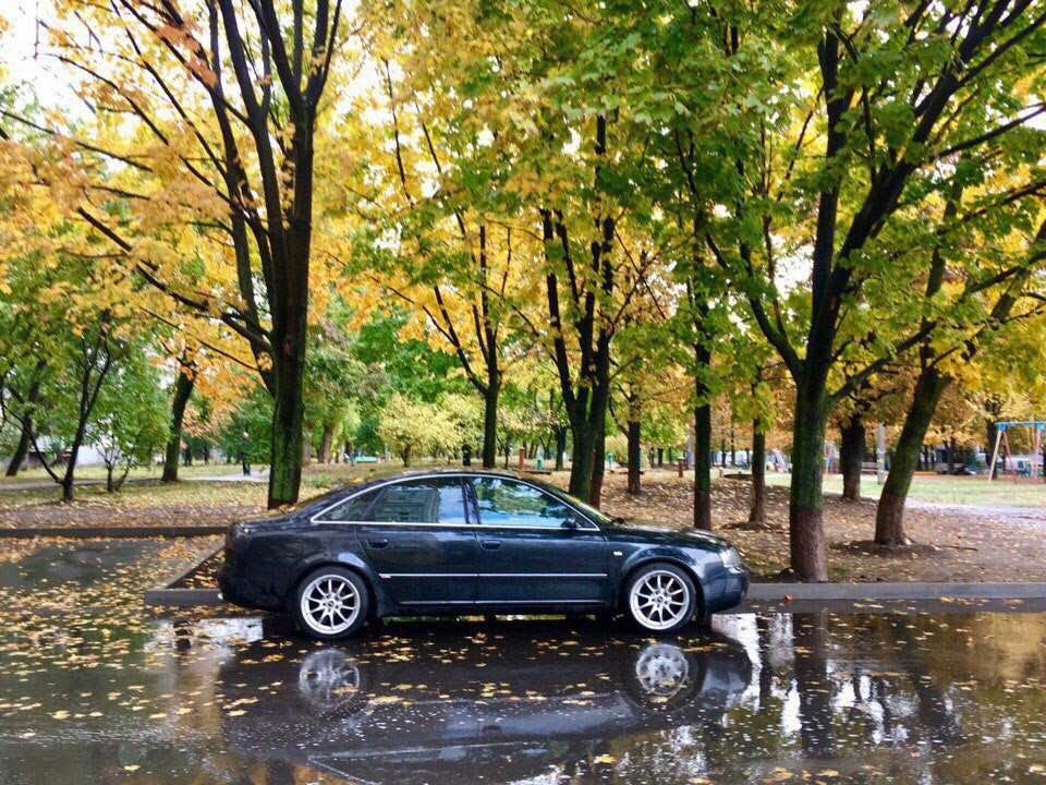 Машинка продана, незабаром найцікавіше Audi d3 4.2 або ? 1