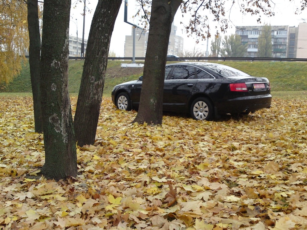 Невеликий осінній фотосет) 5