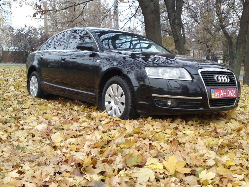Невеликий осінній фотосет) 3
