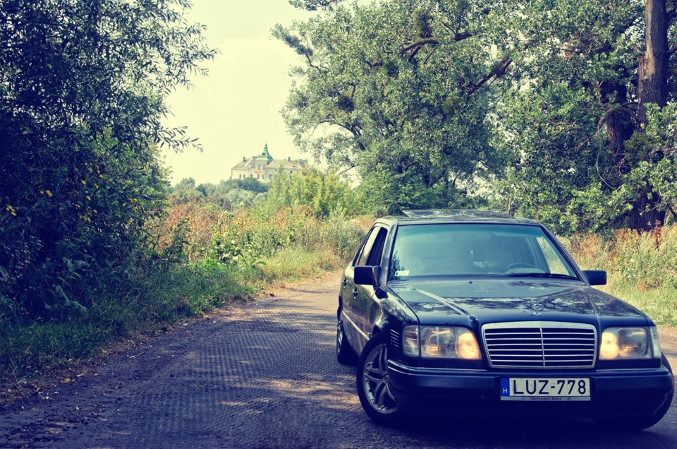 Олеський замок 2