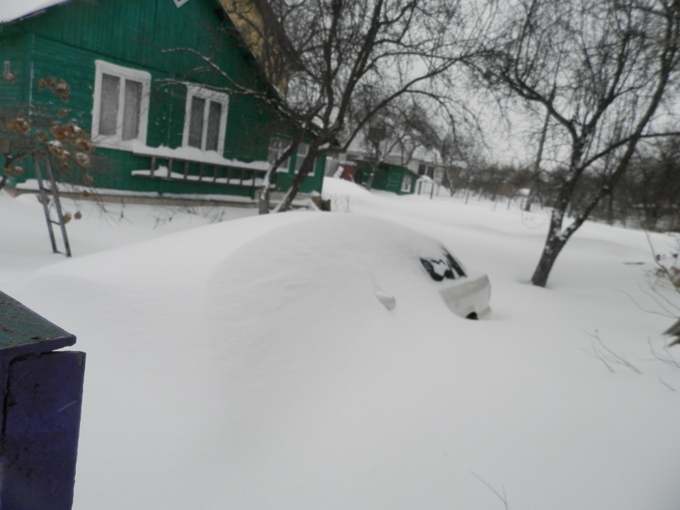 Перші три місяці 1