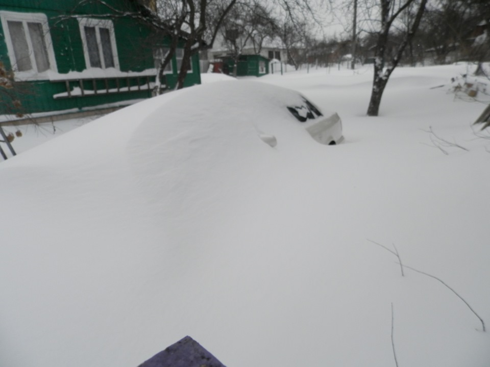Перші три місяці 3