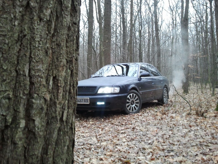осінь) 4