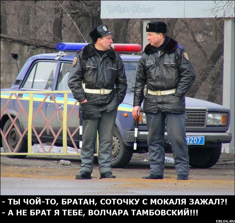 ДАІ нас охороняє та забирає гроші 1