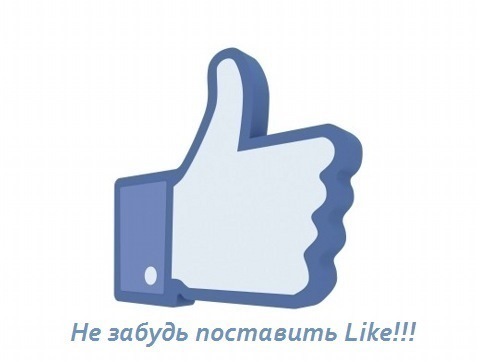 До літа купив килими 5
