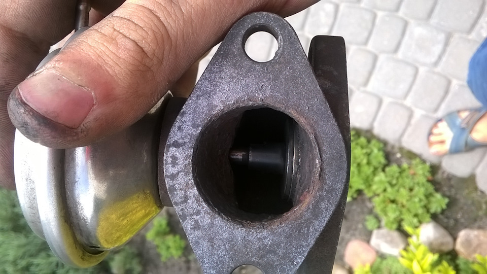 Без назви 4