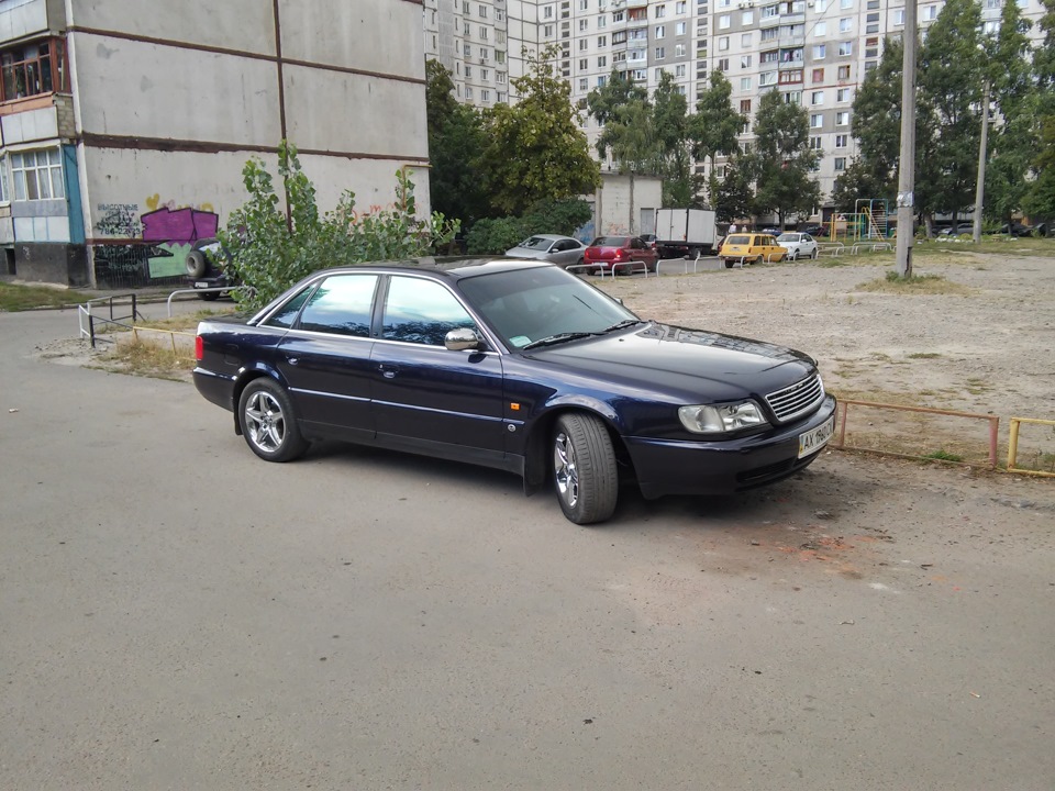 фотосесія 3