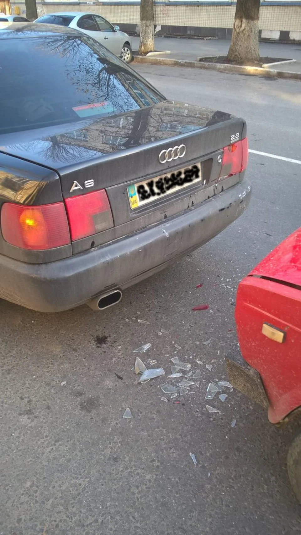 Знову в строю