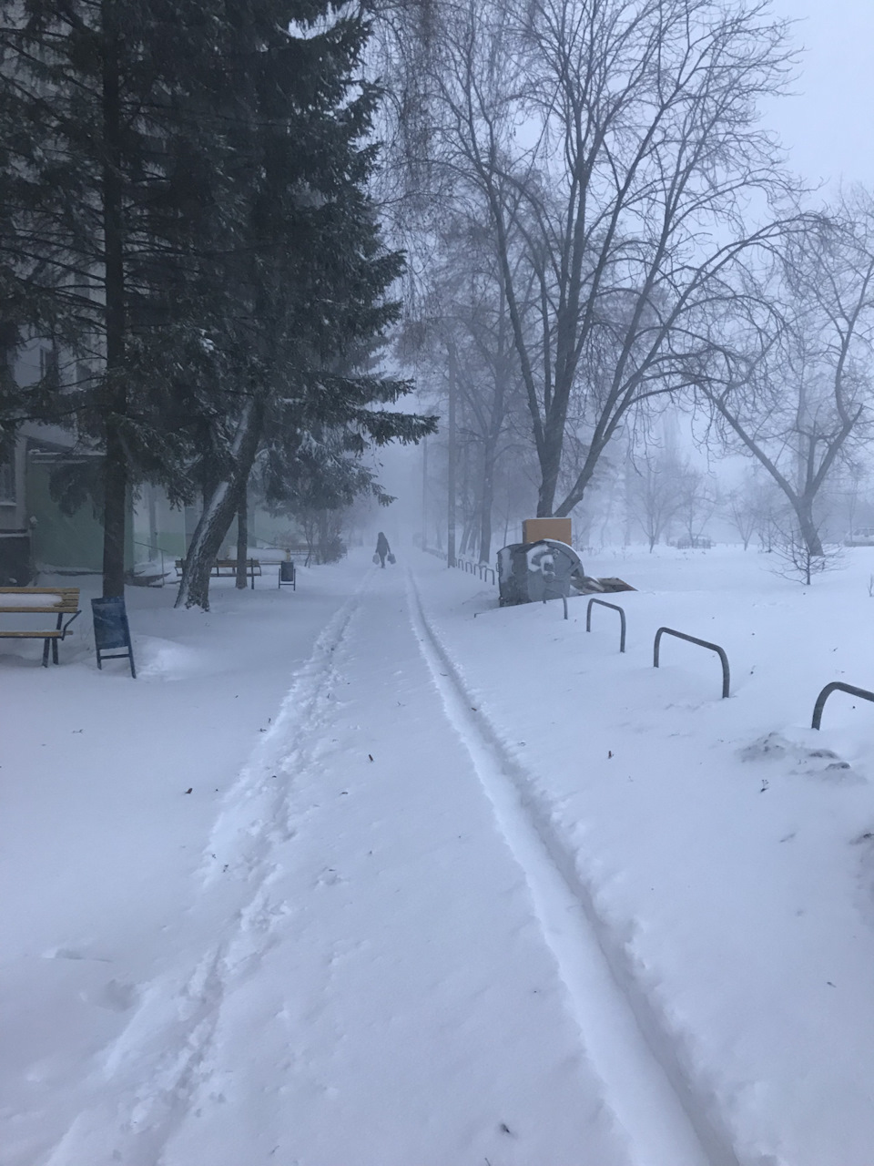 Снігу навалило 1