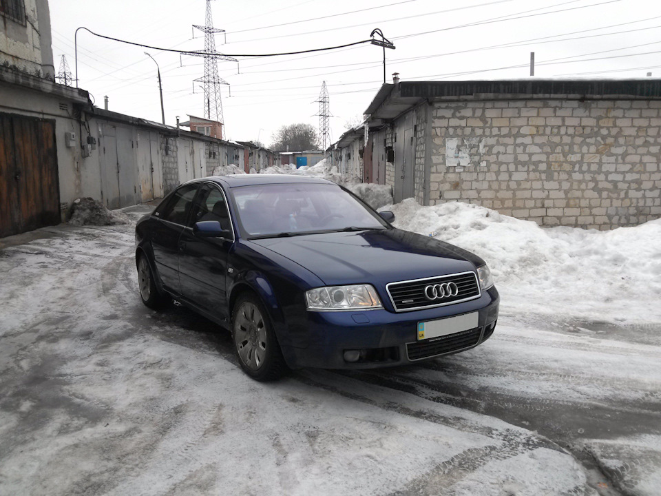 Кілька нових фотографій. 5