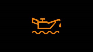 12) Зима розкрила снігові обійми, але я морозу не боюся ... а коштувало! 1