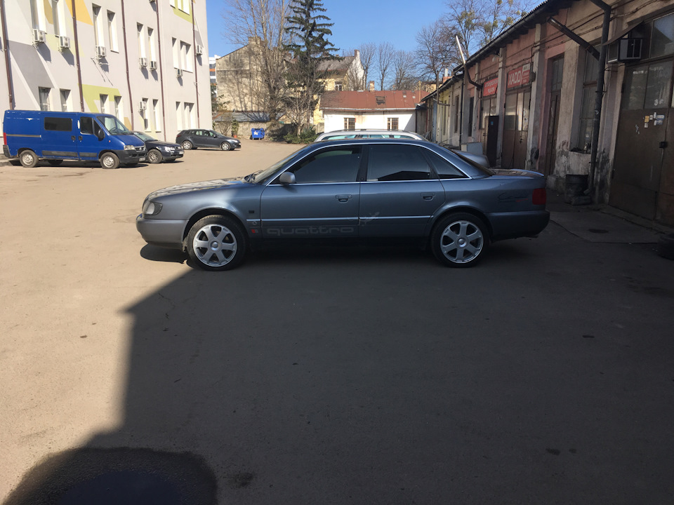 Avus & Good Year 3