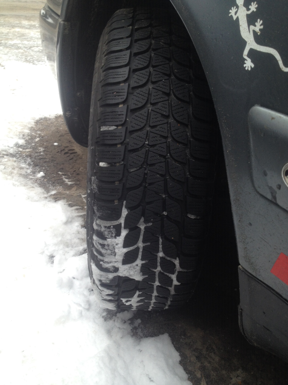 Bridgestone blizak 1