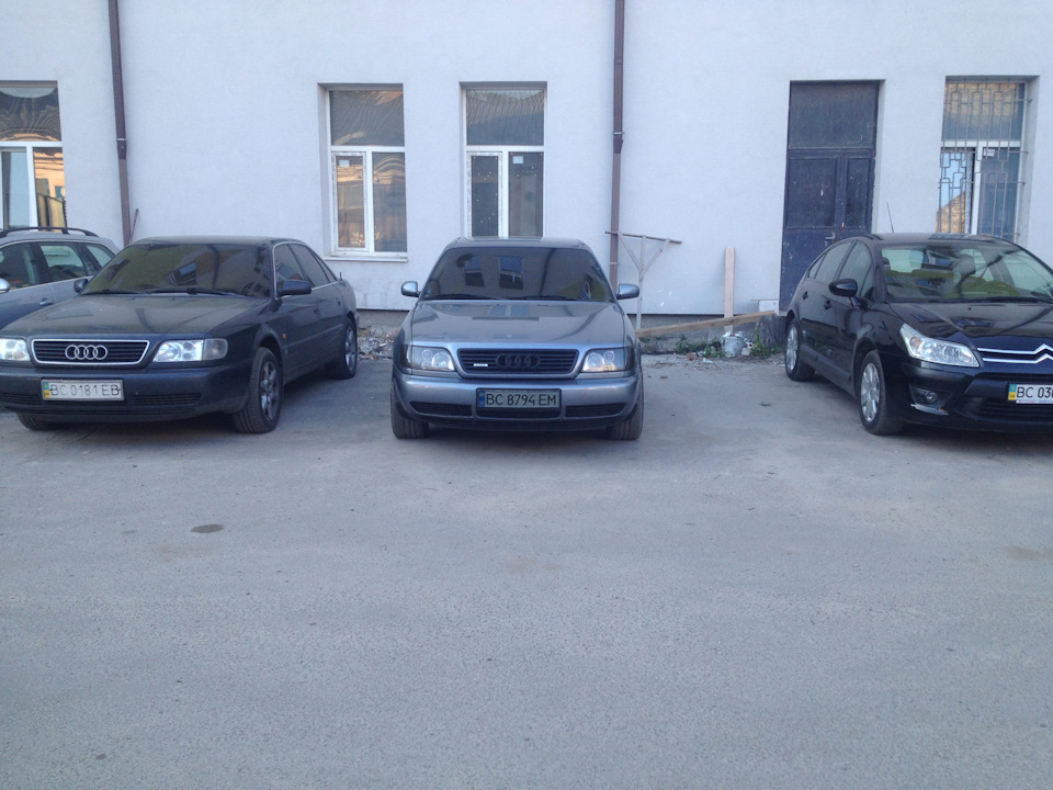Depo black 1