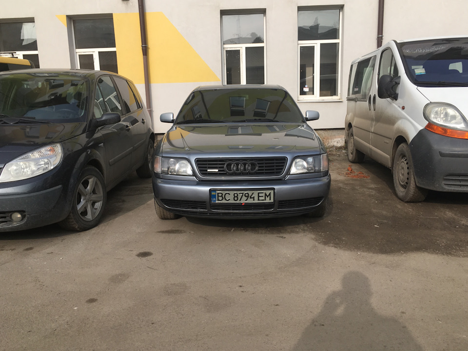 White або black? 2