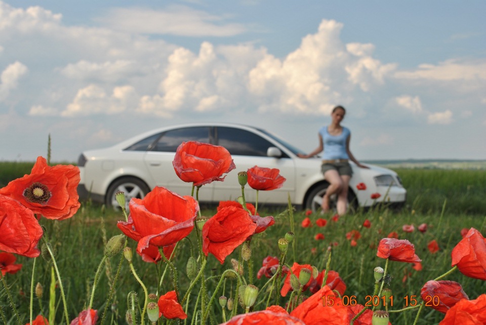 Пару фоток на природі 4