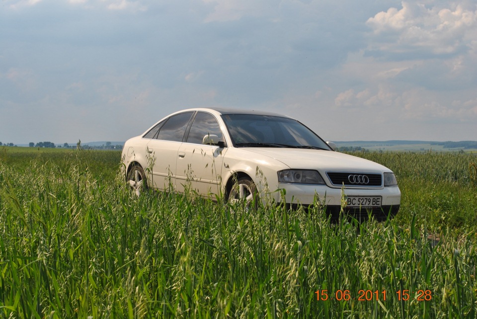 Пару фоток на природі 5