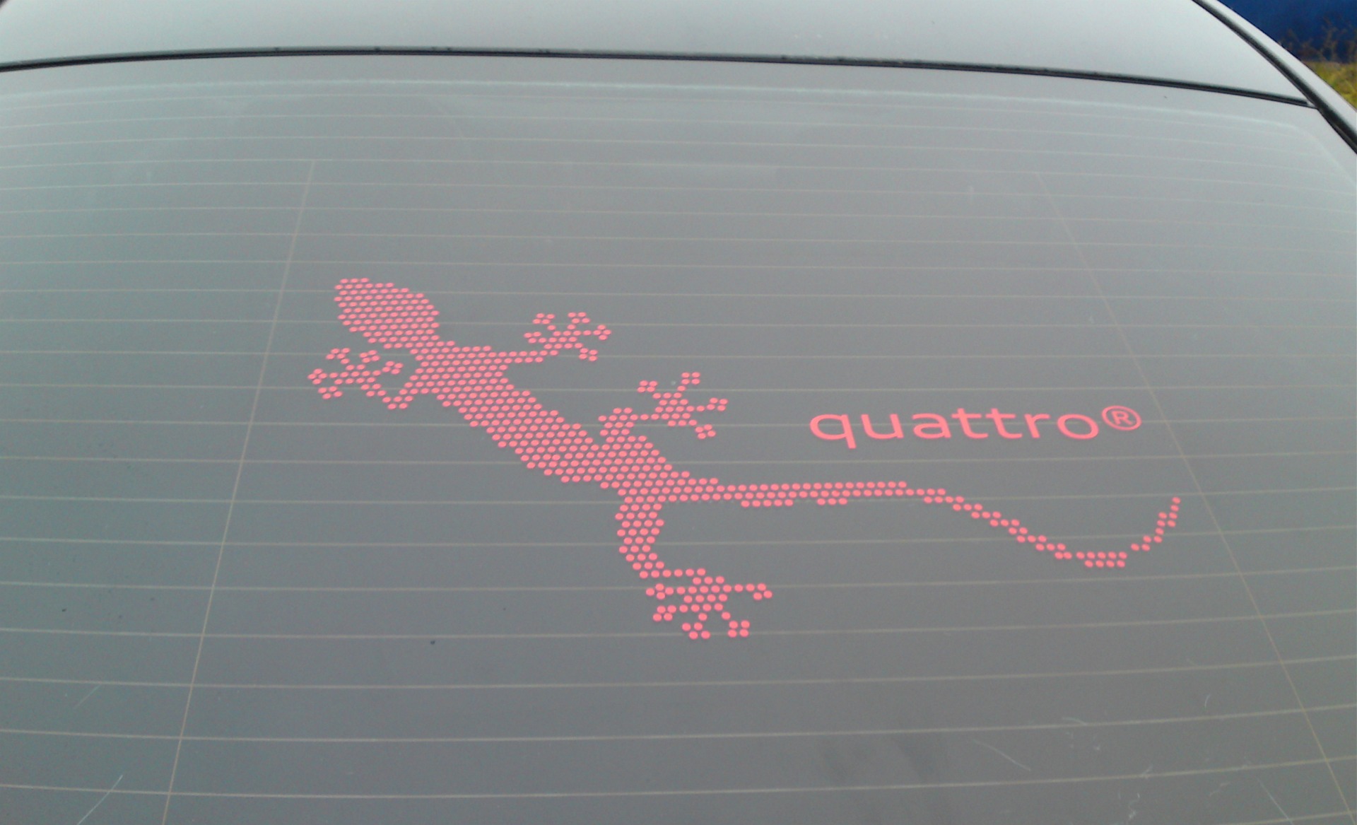 ГЕККОН QUATTRO 1
