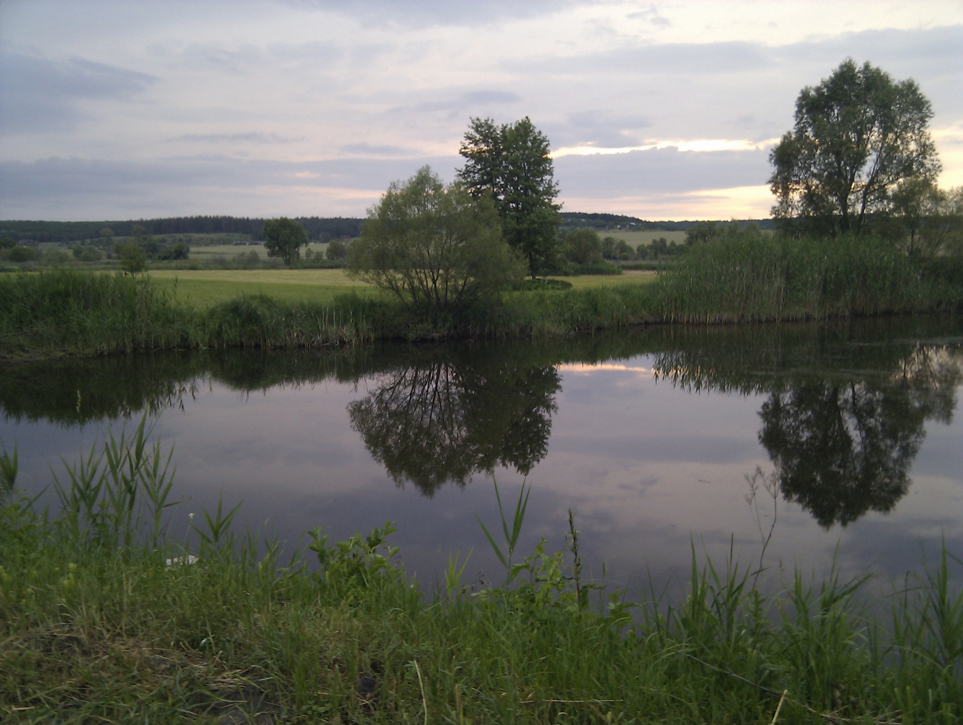 Цезар) 4