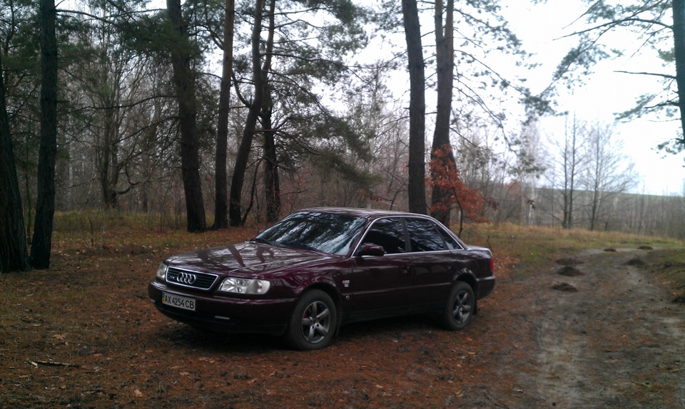 Осіння фотосесія 2