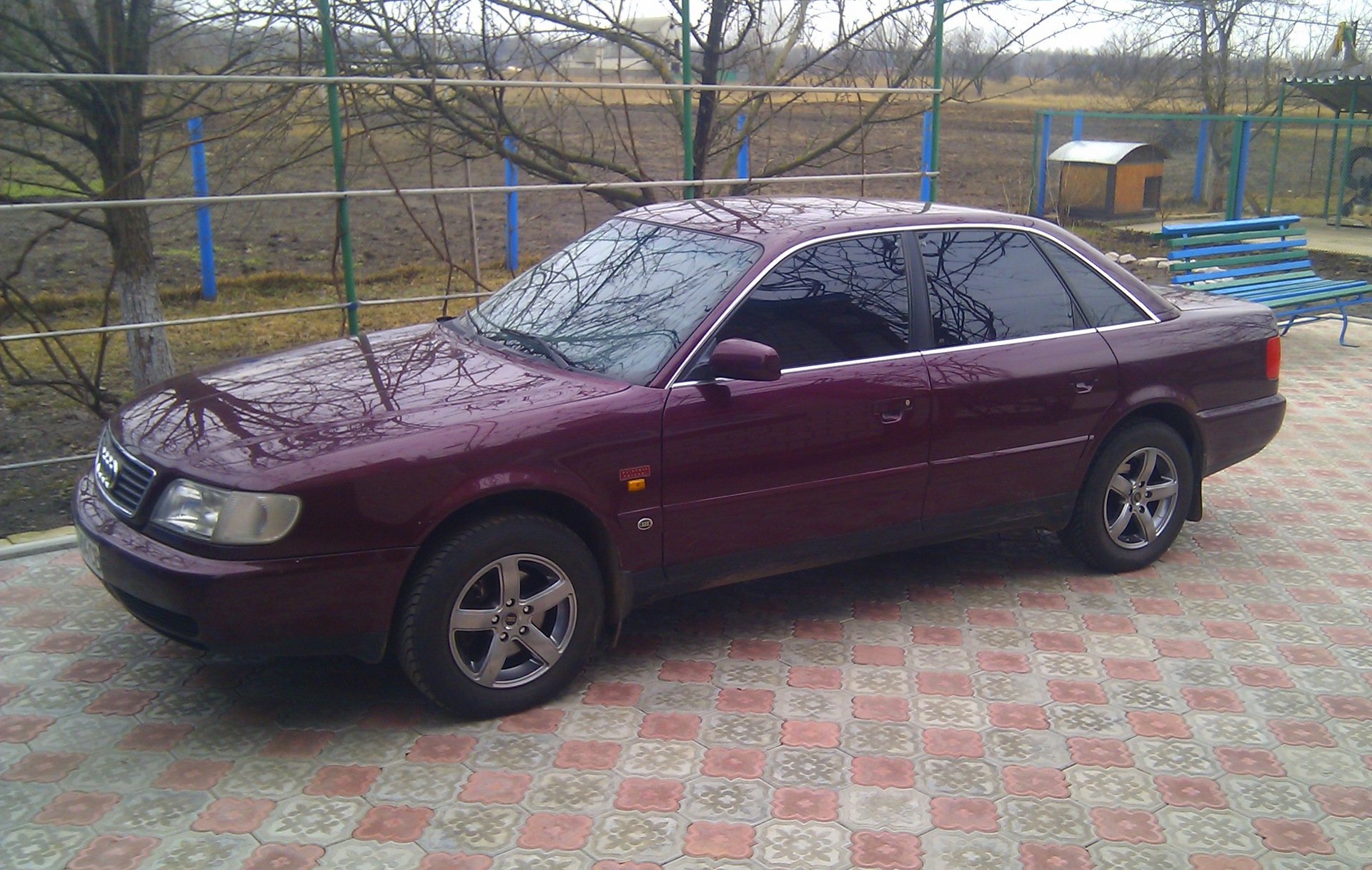 Тонування 1