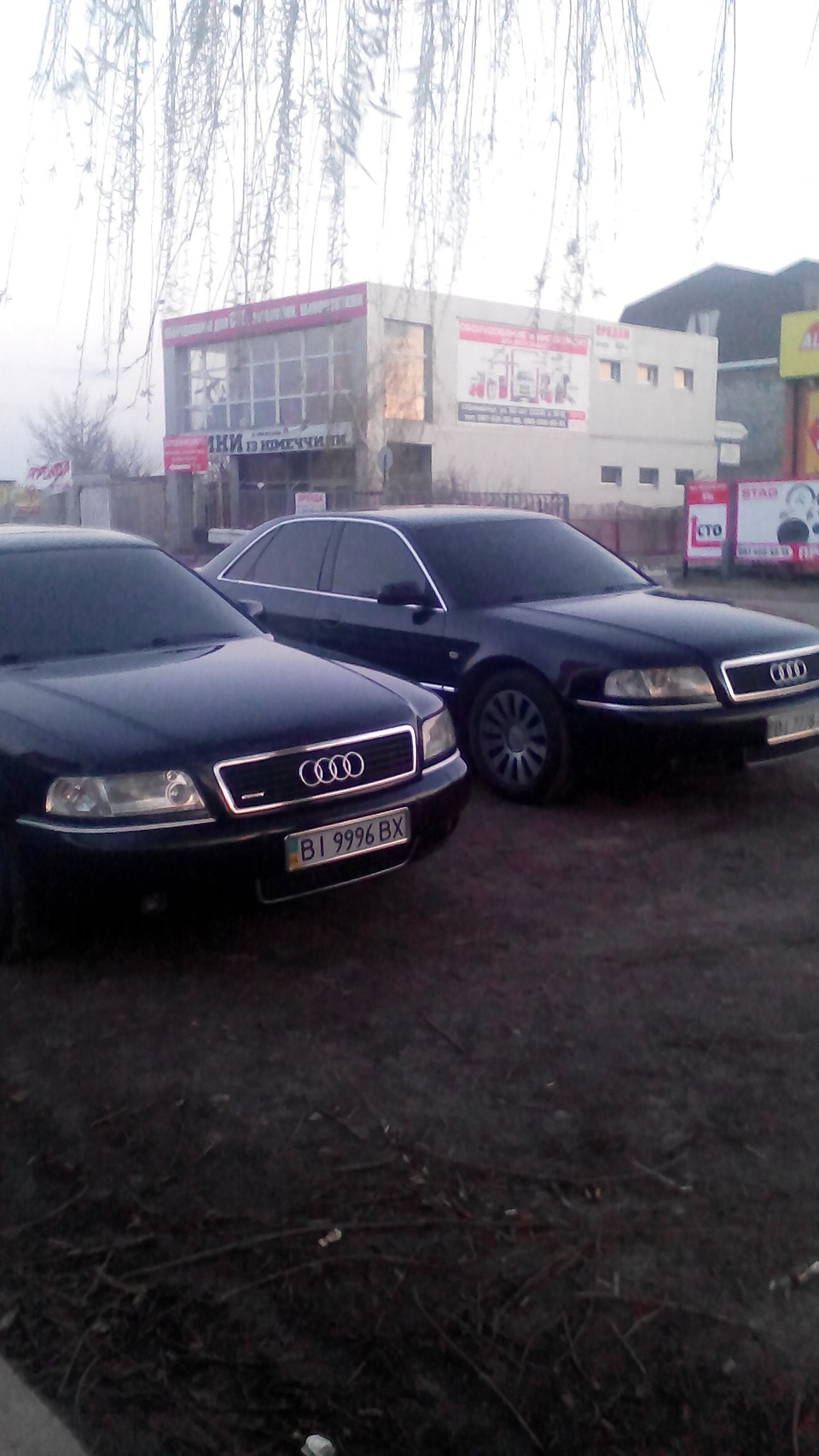 тонування 5