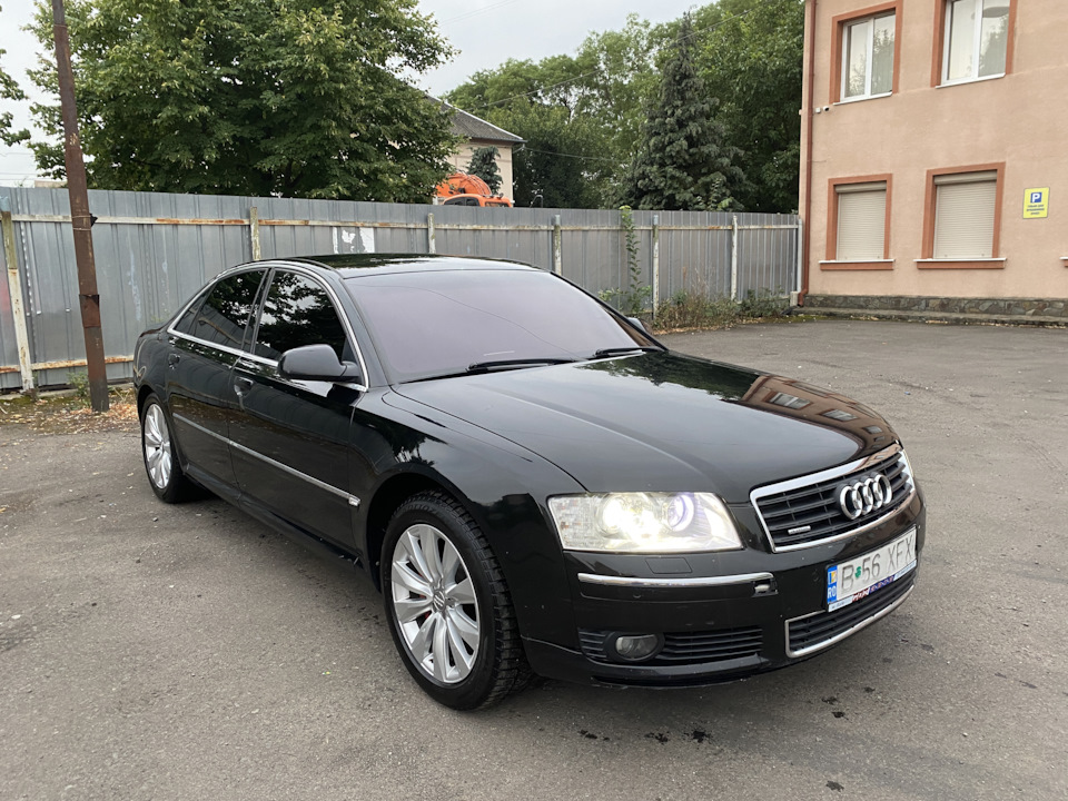 Трохи фото 3