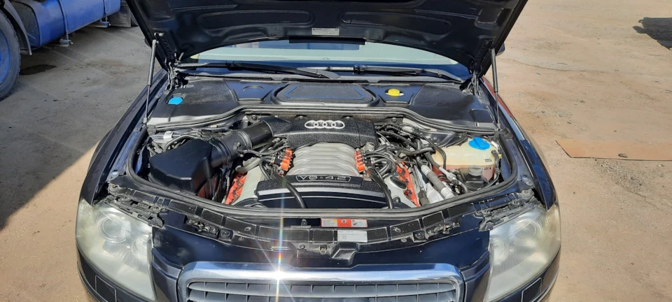 Крик душі тріск при натисканні на газ audi a8 d3 bfm