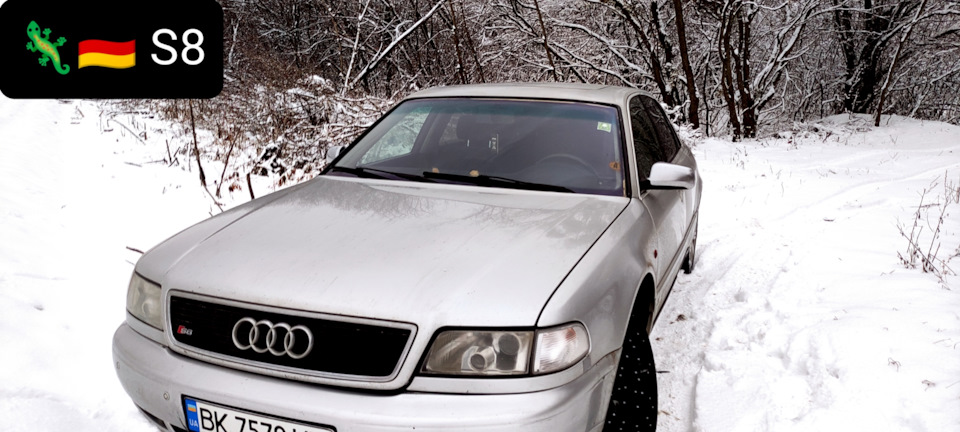 Клубна символіка. 🇩🇪 S8D2 4.2🇩🇪🦎 1