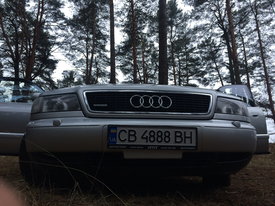 Авоська сіра каструля) перша фотосесія! 1